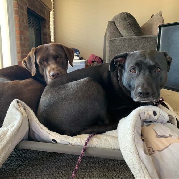 Meet your Posher, Juana - Picture 12 of 16